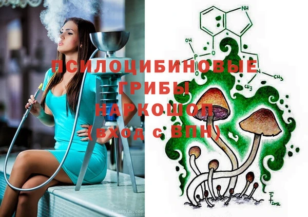 шишки Нефтекумск