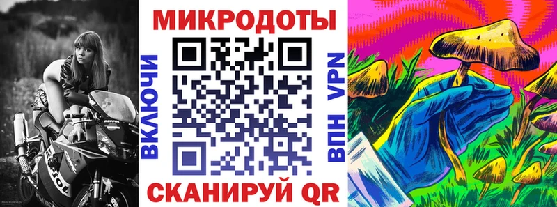 гидра зеркало  Нелидово  Галлюциногенные грибы Psilocybe 
